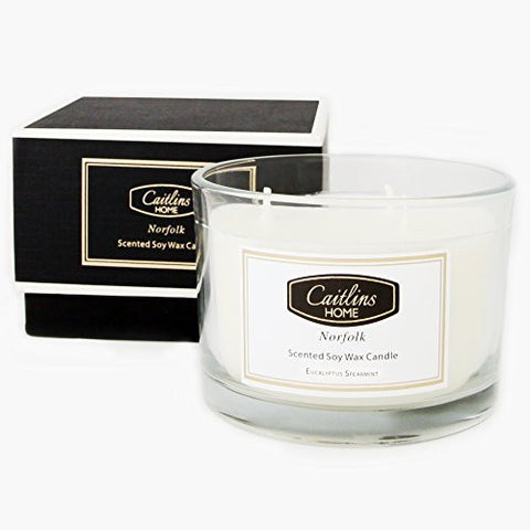 BEST CANDLES SCENTED EUCALYPTUS SPEARMINT SOY WAX AROMATHERAPY CANDLE GIFT BOXED 3 WICK CANDLE 13OZ BY CAITLINS HOME