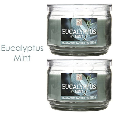 HOSLEY SET OF 2 EUCALYPTUS MINT HIGHLY SCENTED, 2 WICK, 10 OZ WAX, JAR CANDLE. IDEAL VOTIVE GIFT FOR PARTY FAVOR, WEDDINGS, SPA, REIKI, MEDITATION, BATHROOM SETTINGS