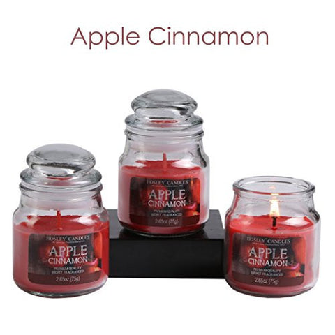 HOSLEY SET OF 3 APPLE CINNAMON HIGHLY SCENTED, 2.65 OZ WAX, JAR CANDLE. IDEAL VOTIVE GIFT FOR PARTY FAVOR, WEDDINGS, SPA, REIKI, MEDITATION, BATHROOM SETTINGS